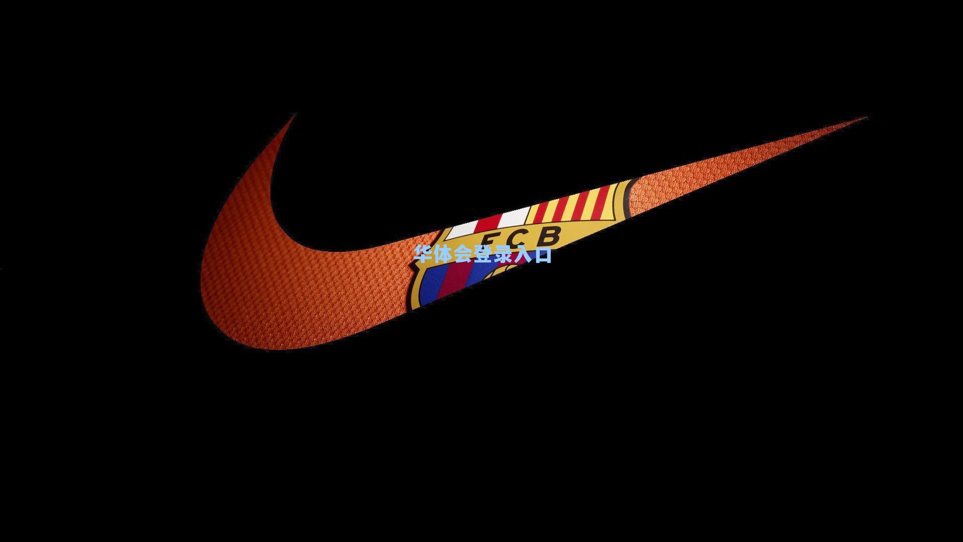 托举梦想的双手,轮椅冰壶背后的无名力量