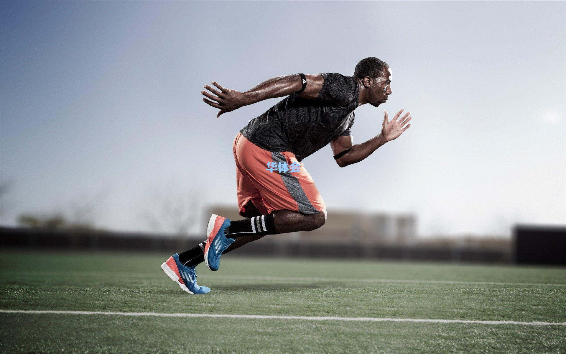 决战末节风云突变，主队上演换剧本了惊天逆转，誓言将胜利进行到底！